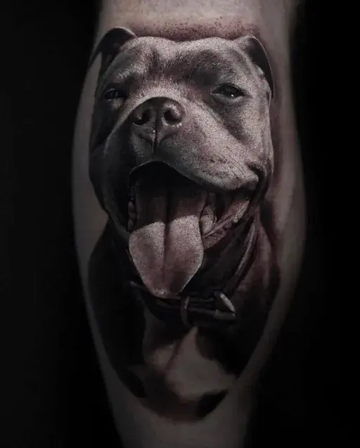 realistic staffordshire terrier dog tattoo with collar on calf