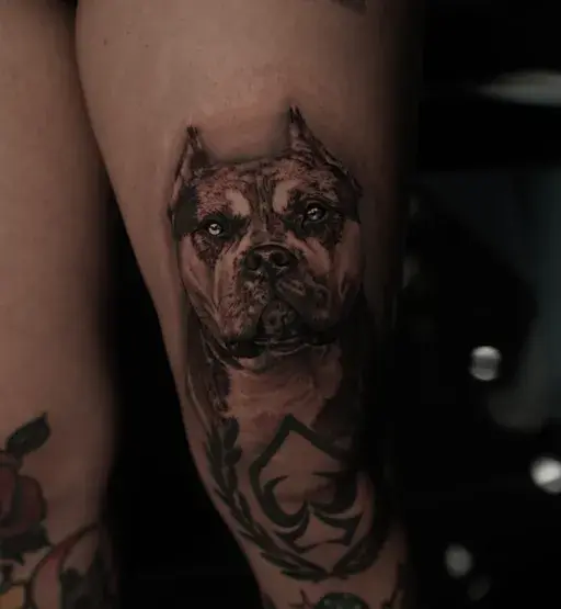 realistic pit bull dog tattoo on thigh with ornamental design