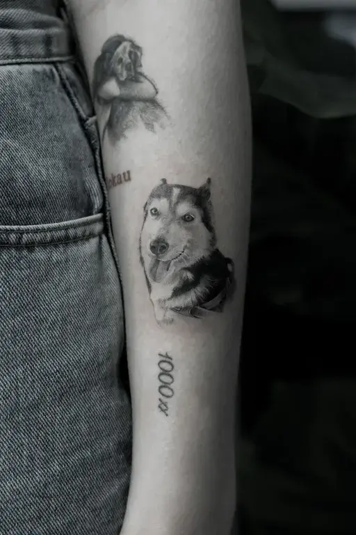 small realistic husky tattoo with date on forearm