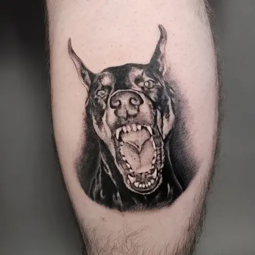  realistic doberman tattoo black and gray on calf
